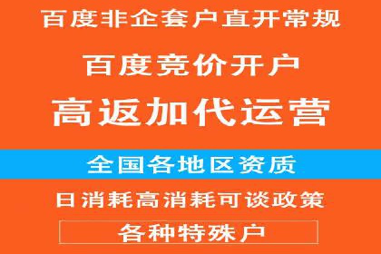 SEM托管服务案例：优化策略与效果展示