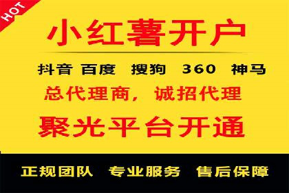 成功背后的力量：SEM推广代运营公司的故事